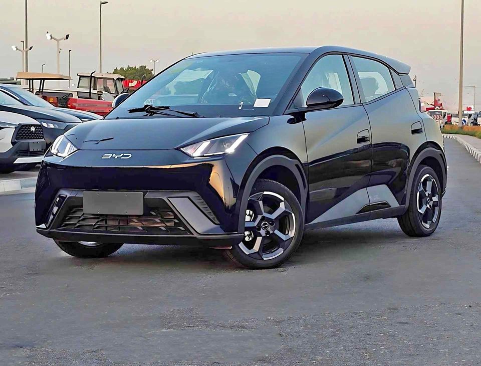 New BYD Seagull 2024