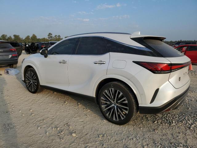 Used Lexus RX 350 2024 Abu Dhabi